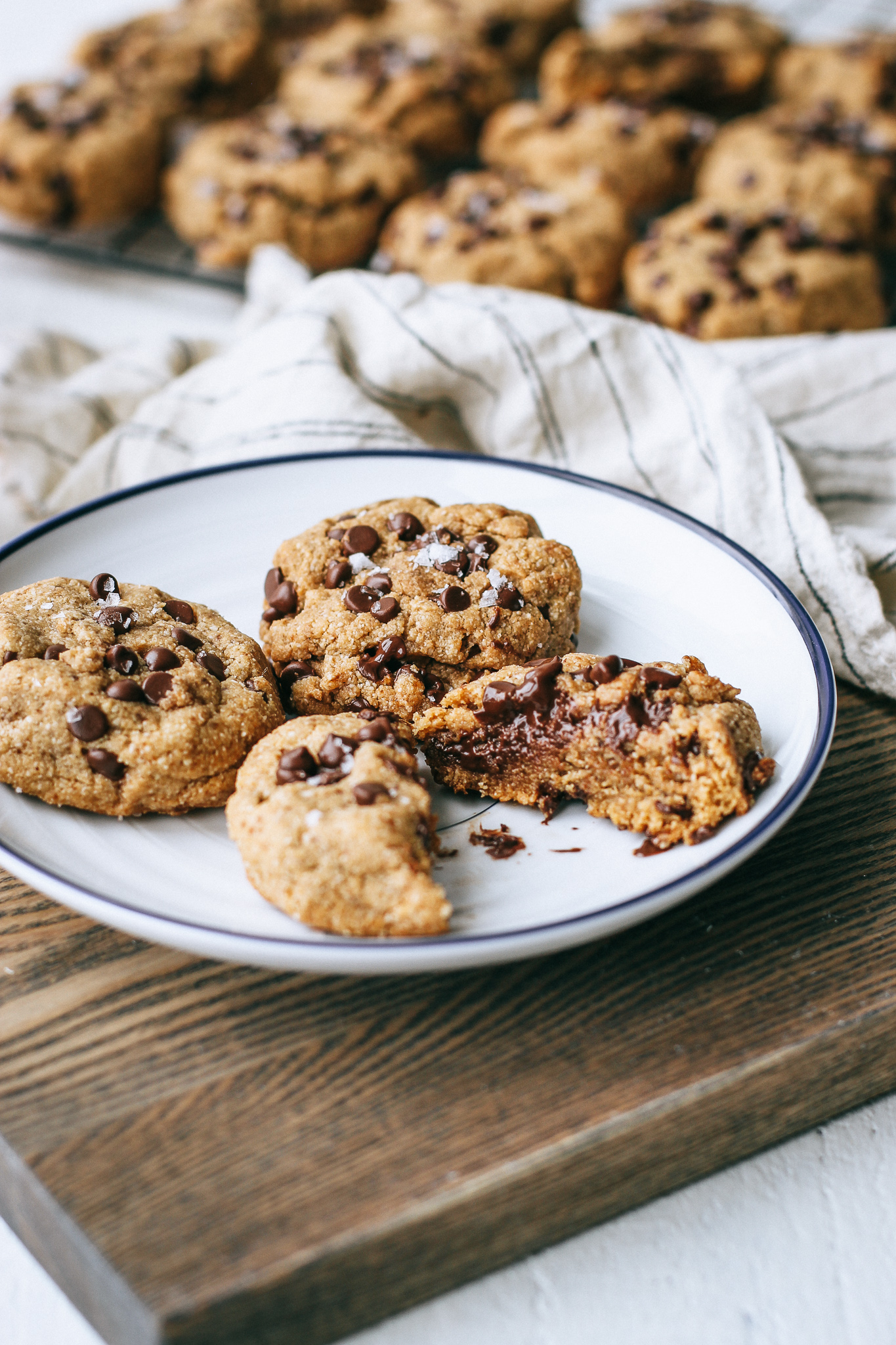 Grain Free Olive Oil Chocolate Chip Cookies