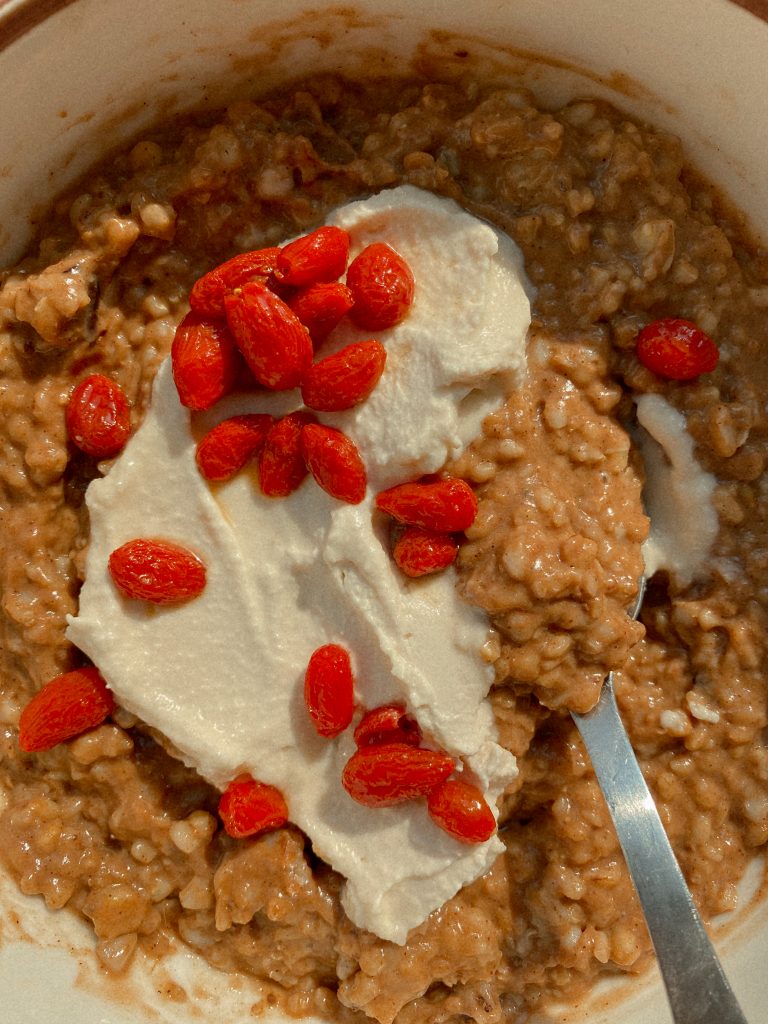 chocolate oats with yogurt and goji berries and a spoon